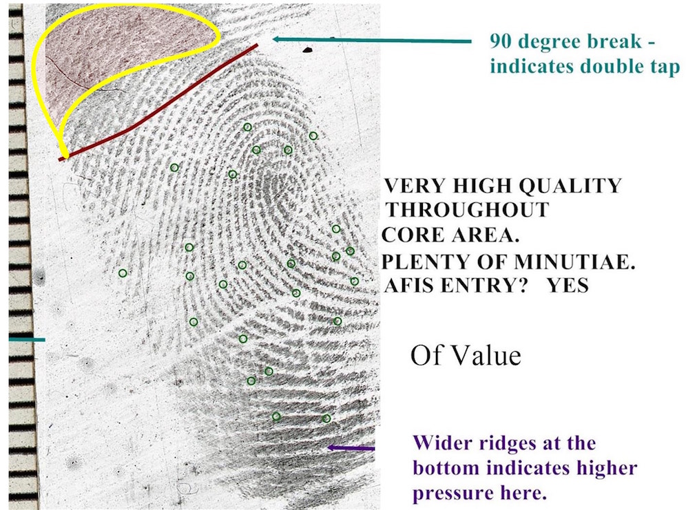 Latent Fingerprint Mideo